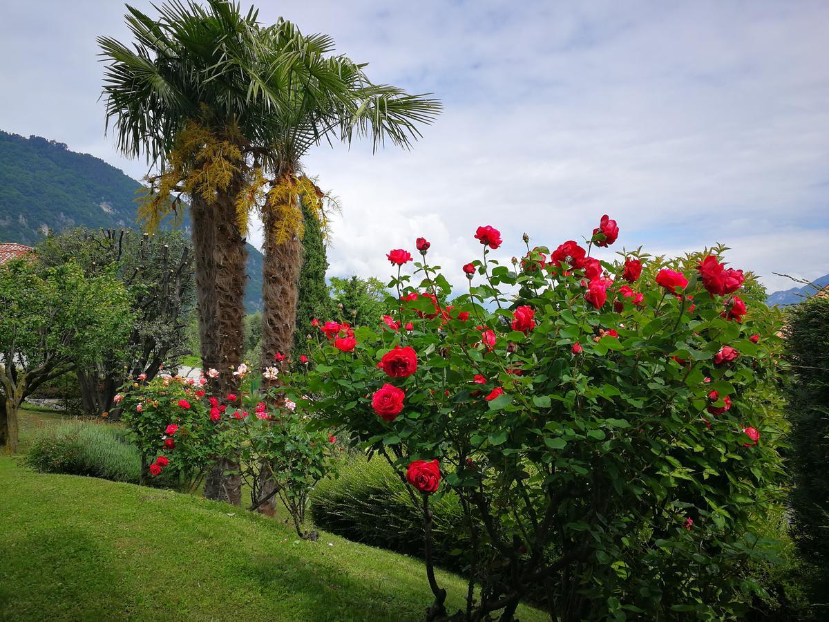 Bellagio Lake View Villa Oliveto Lario 외부 사진