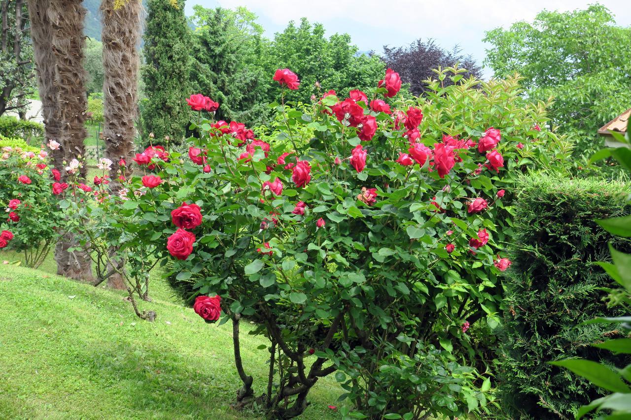Bellagio Lake View Villa Oliveto Lario 외부 사진