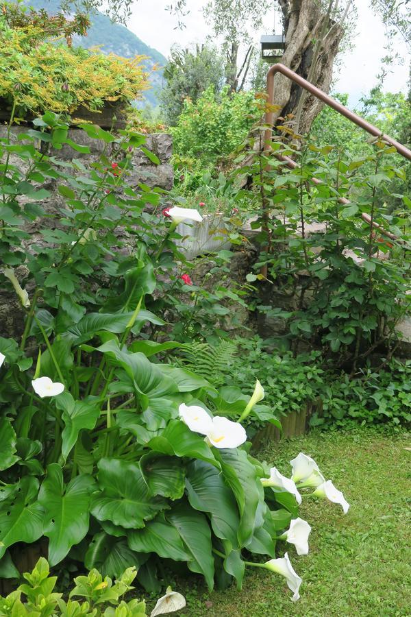 Bellagio Lake View Villa Oliveto Lario 외부 사진