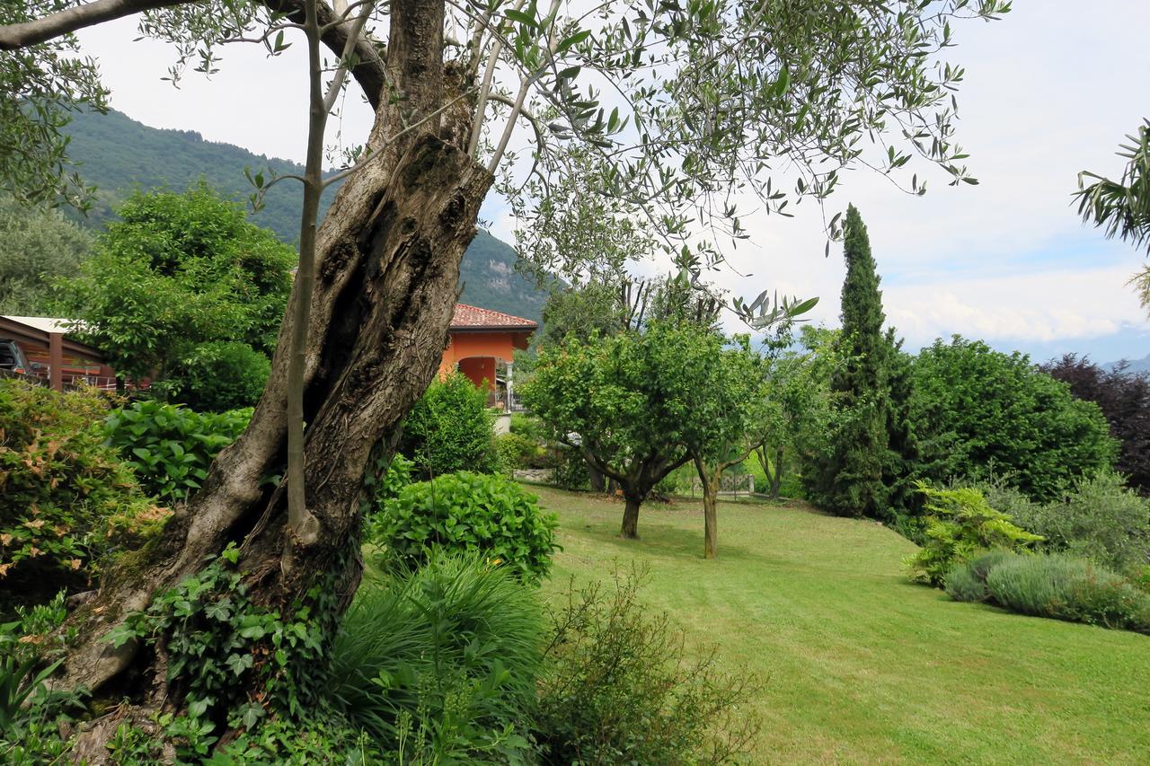 Bellagio Lake View Villa Oliveto Lario 외부 사진