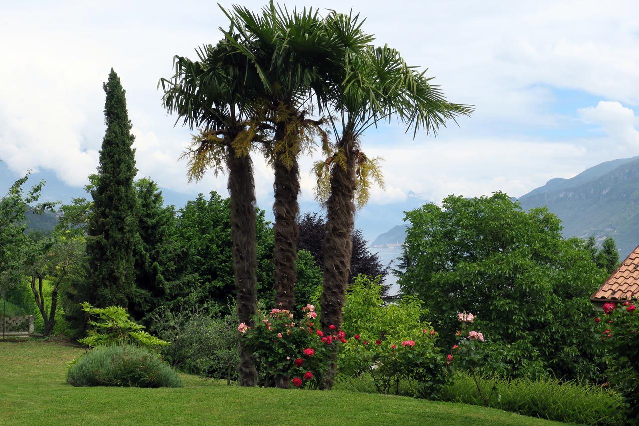 Bellagio Lake View Villa Oliveto Lario 외부 사진